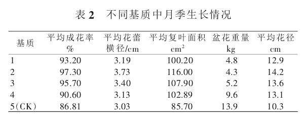 不同叶面施肥对月季植株复壮的影响