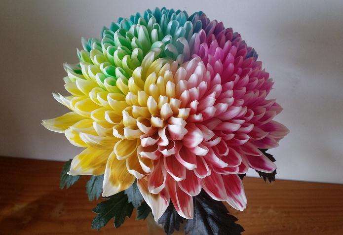 2017年青州市花卉种植面积12.9万亩