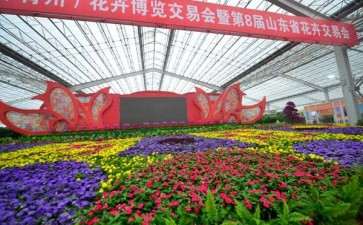 青州市的盆栽花卉产业处于调整转型阶段