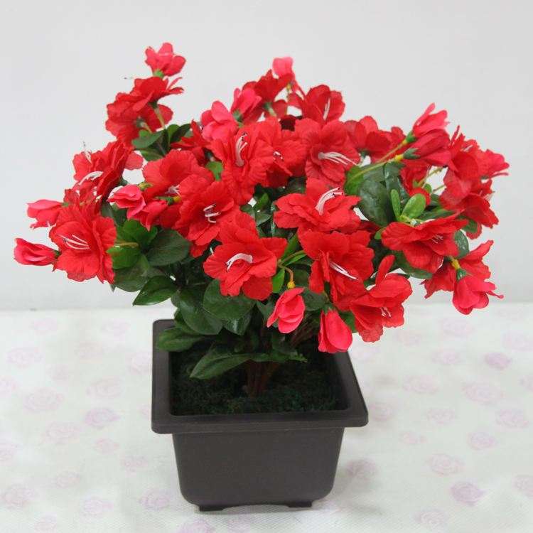 国内盆栽花卉产业的3个研究综述