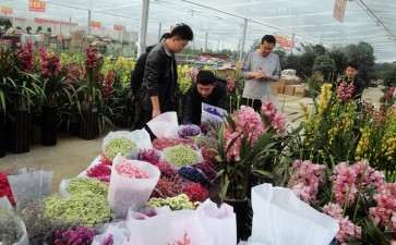 青州市盆栽花卉产业发展的4个劣势