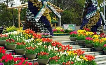 日本盆栽花卉产业发展的3个经验