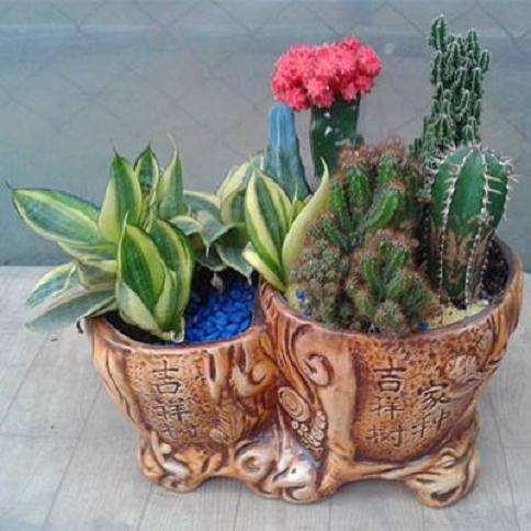 2019年9月广州盆栽花卉销售波动较大