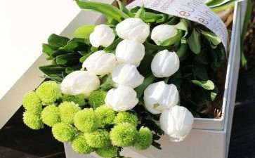 每年的11月都是成都鲜切花市场的销售淡季