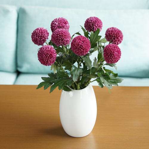 2019年11月北方切花市场进入销售淡季