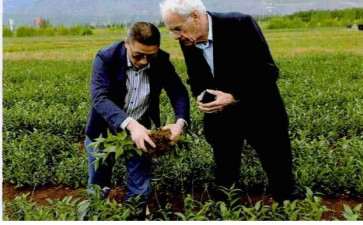 百合种球生长期怎么病虫害防治方法