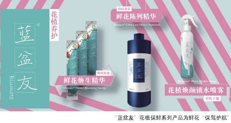 橡旎科技为花卉供应链品质优化解决方案