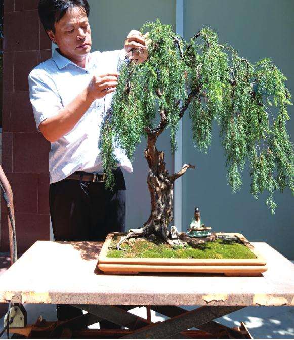 花永怒用盆景创作理念更新景观造型思路