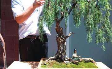 花永怒用盆景创作理念更新景观造型思路