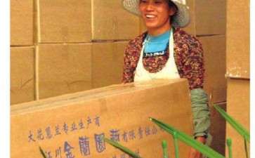 李素红 大花蕙兰行业销售精英