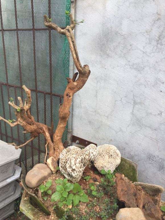 大家觉得 我的博兰下山桩 怎么样