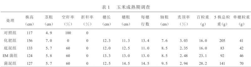 菌泥对玉米和大豆生长发育影响的盆栽试验