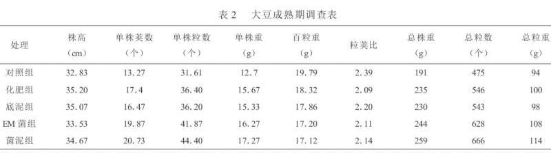 菌泥对玉米和大豆生长发育影响的盆栽试验