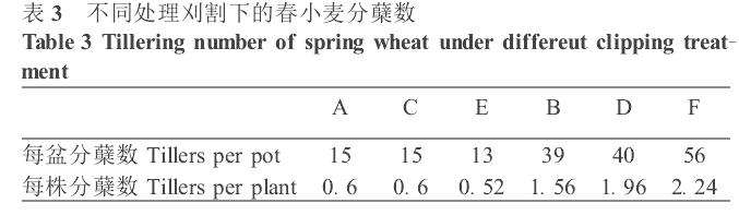 苗期刈割伤害对春小麦影响的盆栽实验研究