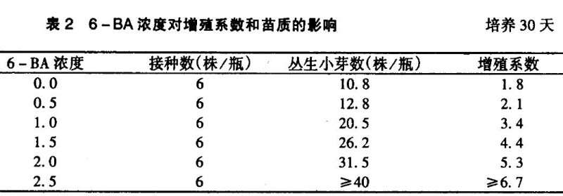 影响大花扶朗增殖的4个因素有哪些