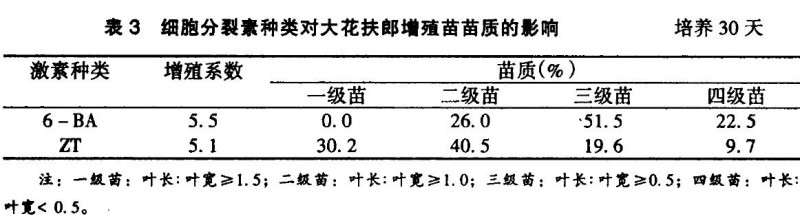 影响大花扶朗增殖的4个因素有哪些