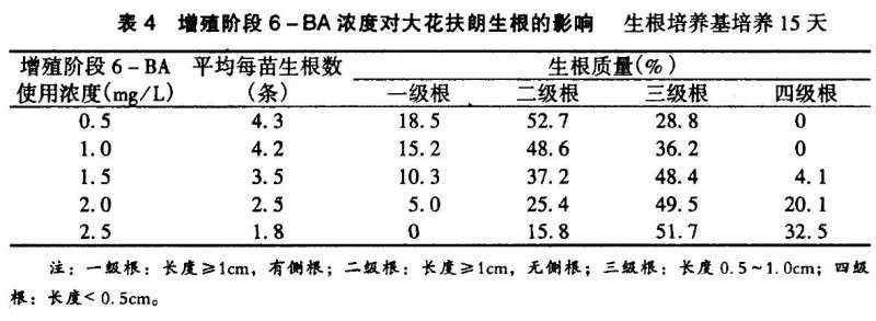 影响大花扶朗增殖的4个因素有哪些