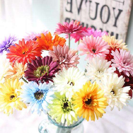 影响扶朗生根和移栽成活率的因素