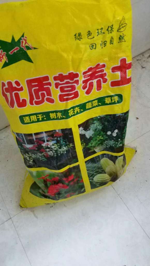 这棵黑骨茶下山桩 还有救吗 怎么办 图片