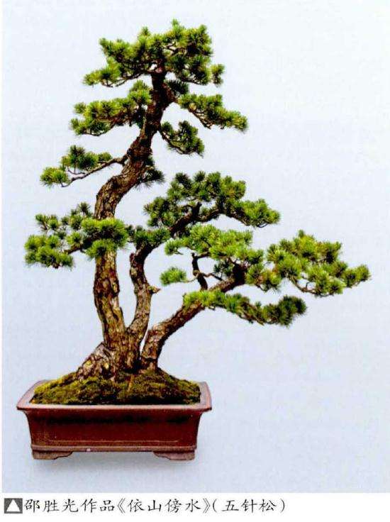 胡乐国盆景创作文化漫谈