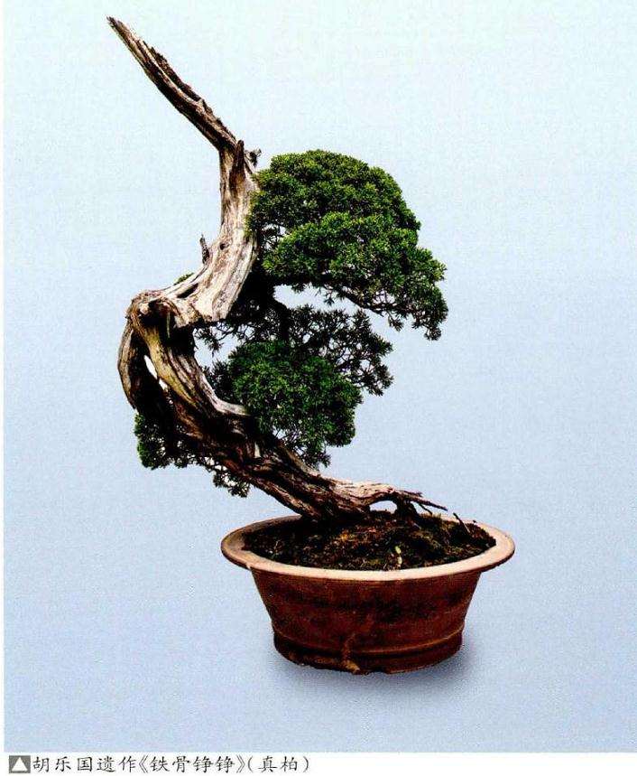 胡乐国盆景创作文化漫谈