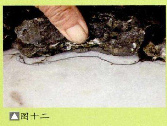 水旱盆景怎么.胶合的3个方法