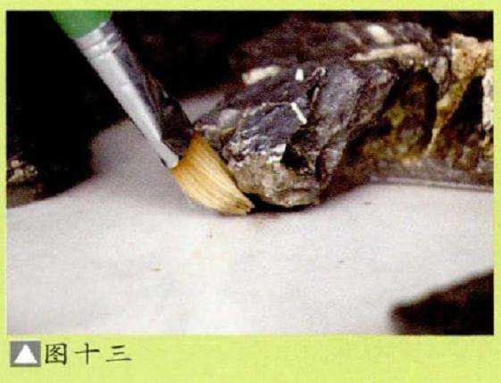 水旱盆景怎么.胶合的3个方法