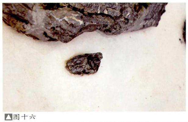 水旱盆景怎么.制作的6个步骤