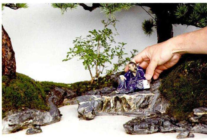 水旱盆景怎么.制作的6个步骤