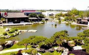 临沂琅琊盆景园 占地150余亩 图片