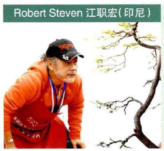 世界盆栽艺术家社团名家作品赏