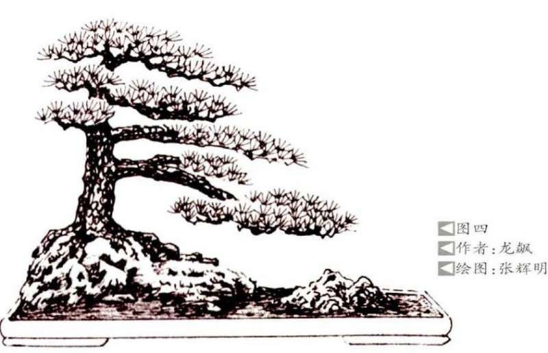 盆景作品怎么制作意境的方法