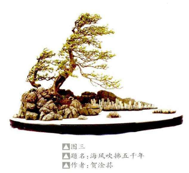 盆景作品怎么制作意境的方法