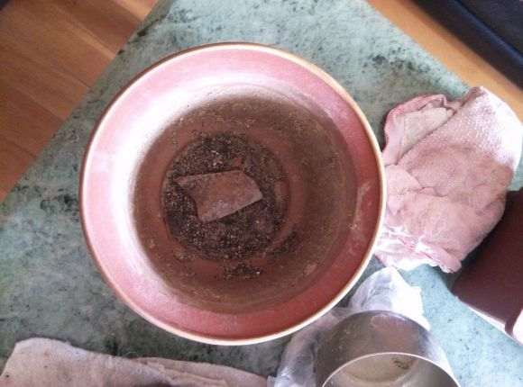 图解 黑骨茶下山桩怎么套袋栽培的方法