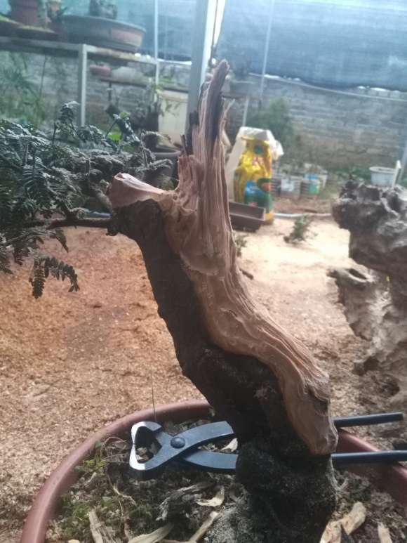 小石积下山桩怎么舍利炭化的方法
