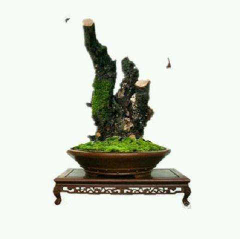 这样的小石积下山桩 差不多吧