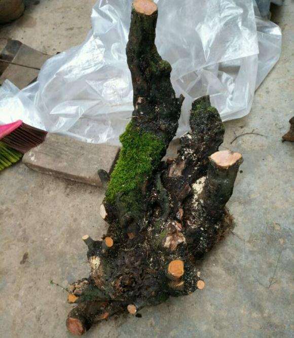 这样的小石积下山桩 差不多吧