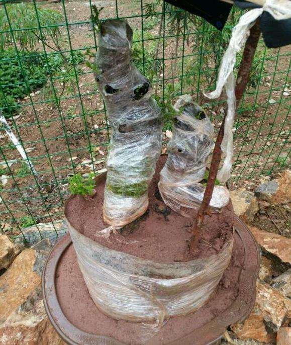 这样的小石积下山桩 差不多吧