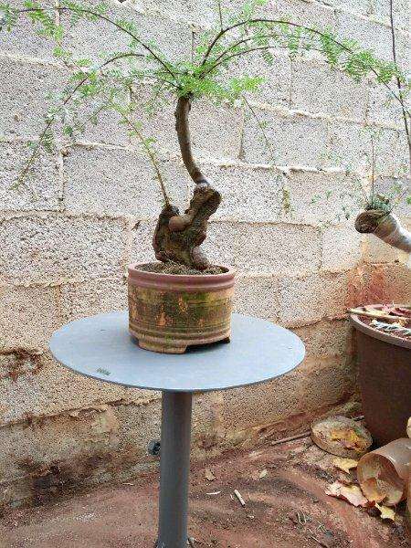 哪位老师帮我设计小石积下山桩