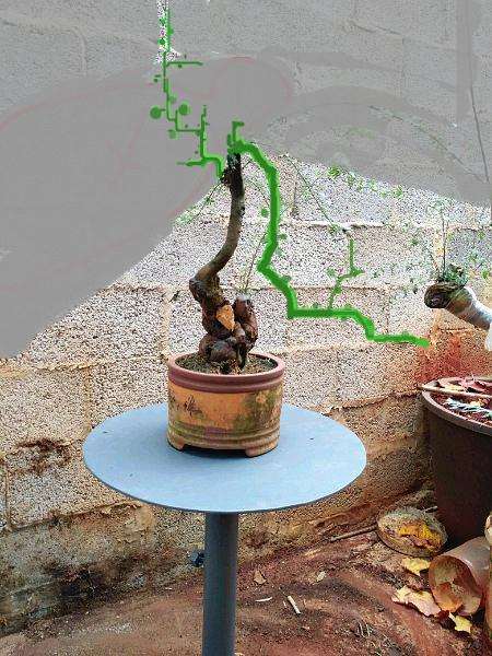 哪位老师帮我设计小石积下山桩