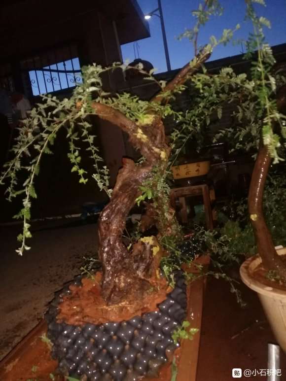 小石积下山桩 喜欢联系 出了