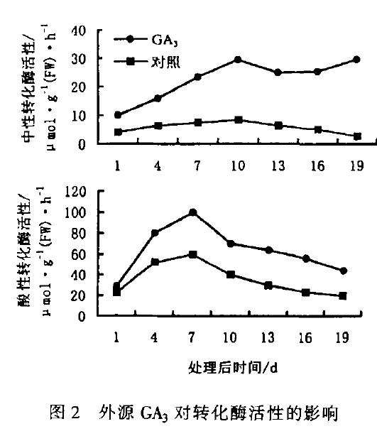 GA3对温室盆栽桃座果及幼果糖酶活性的影响