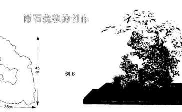 附石盆栽怎么创作的5个方法