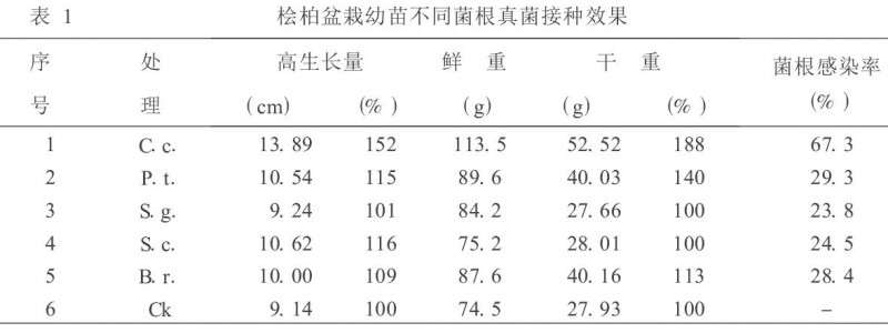 盆栽桧柏幼苗接种五种不同菌根真菌的比较研究