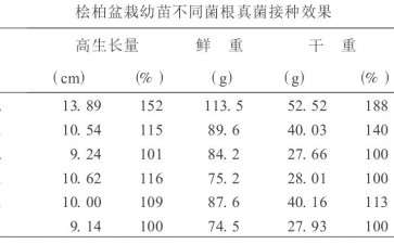 盆栽桧柏幼苗接种五种不同菌根真菌的比较研究