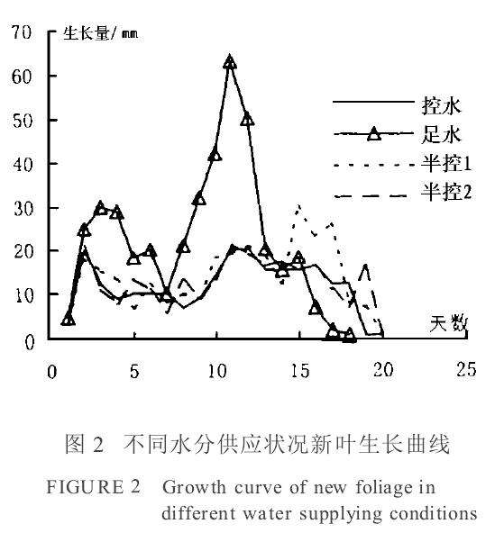盆栽苏铁展叶规律及叶形控制技术研究