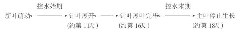 盆栽苏铁展叶规律及叶形控制技术研究