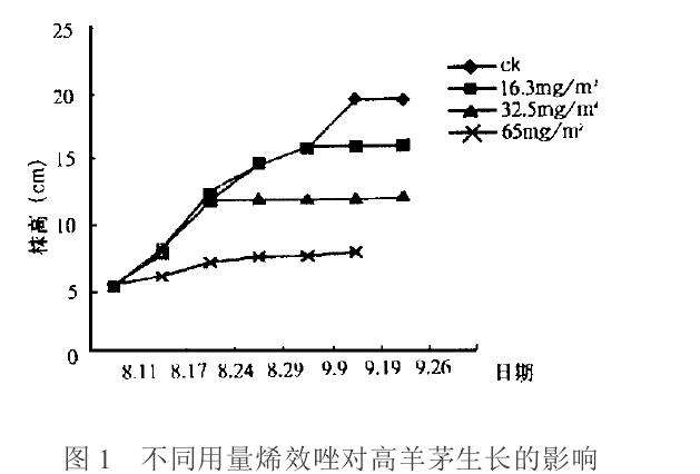 烯效唑对盆栽3种草坪草生长的影响