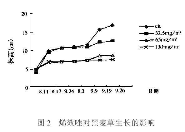 烯效唑对盆栽3种草坪草生长的影响