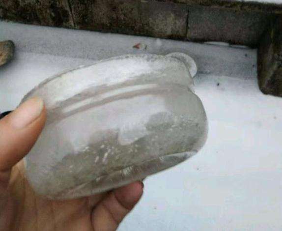 冬季多肉植物结冰了 还可以活吗 图片